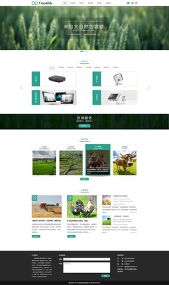 武漢鈦聯(lián)信息技術(shù)官網(wǎng)設(shè)計(jì)定稿 構(gòu)建專(zhuān)業(yè)高效的企業(yè)官網(wǎng)平臺(tái)